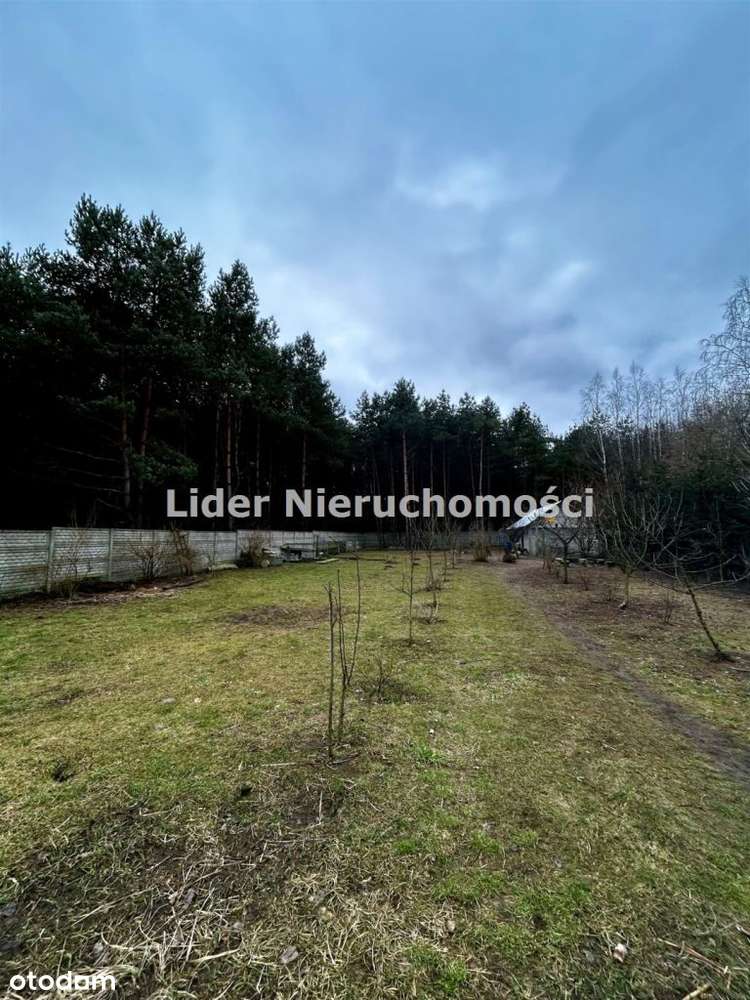 Na sprzedaż: działka budowlana – Kolonia-Karczmy, gmina Zelów - Pełny obrazek: 5/8