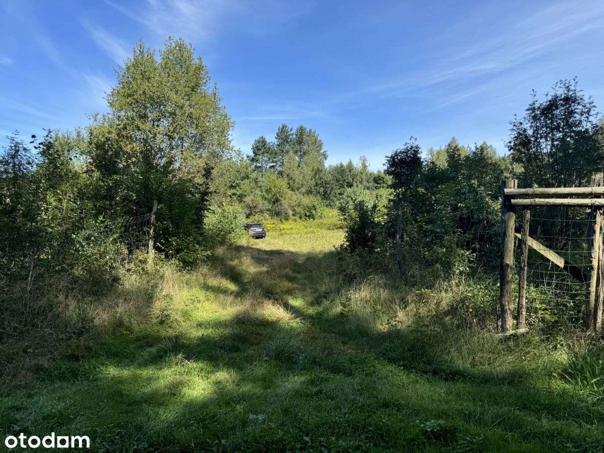 Klimatyczna duża działka blisko jeziora i lasu-12