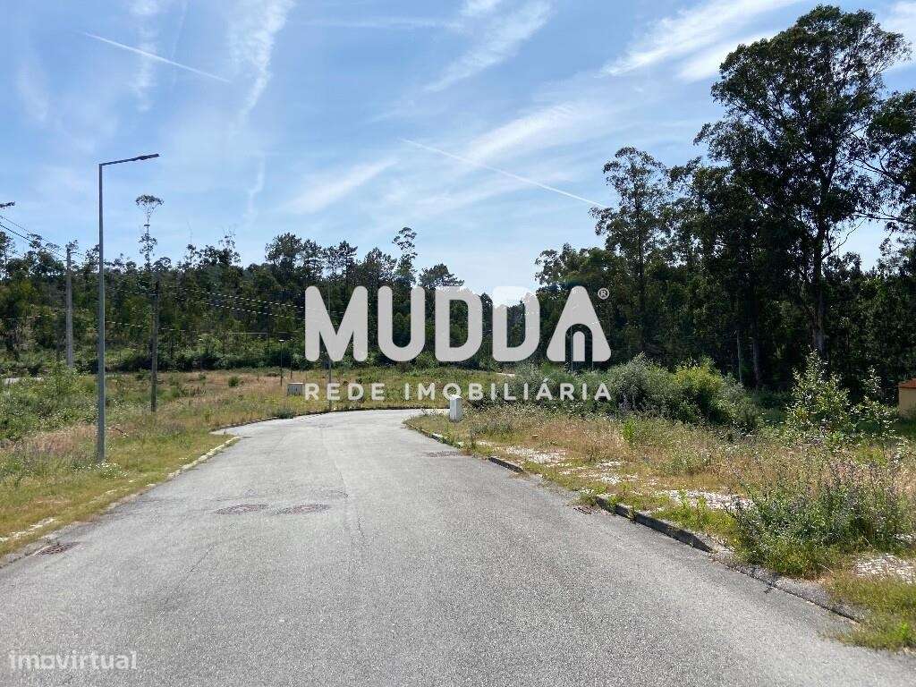 Loteamento em Oliveira de Azeméis, Fajões - Grande imagem: 5/8