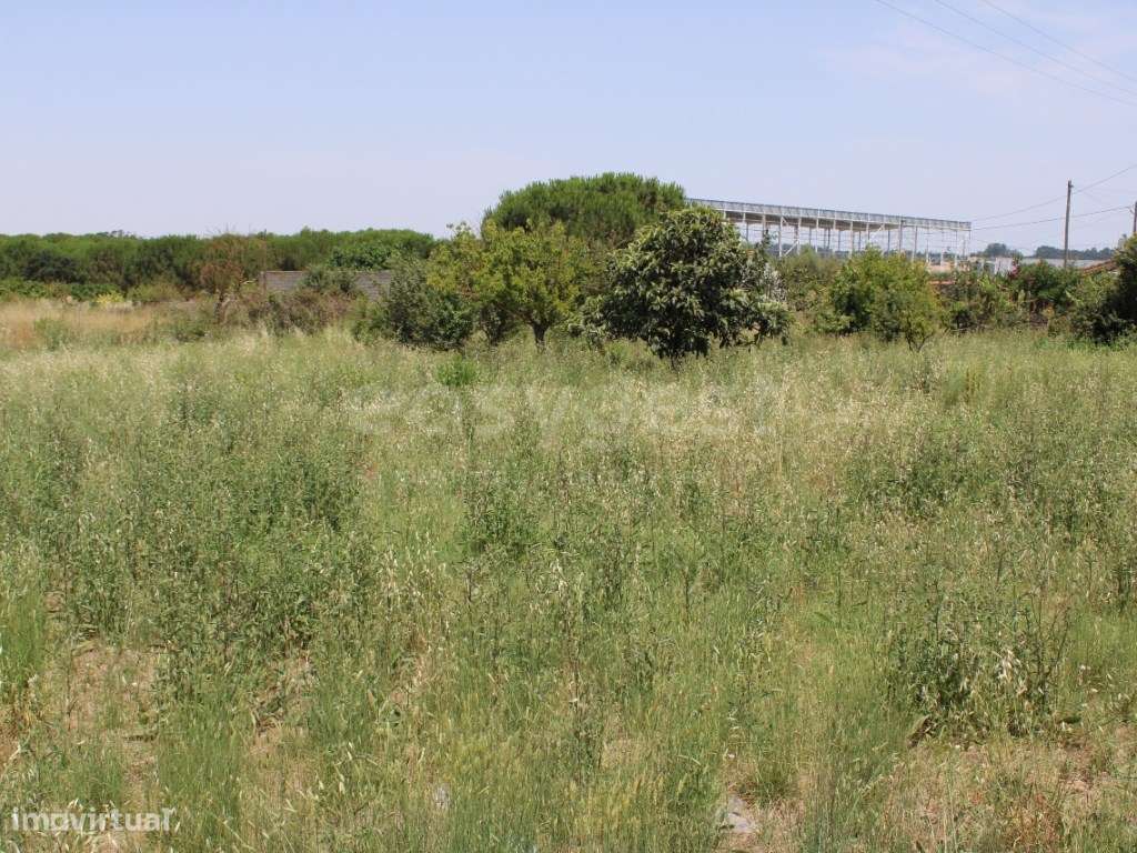 Terreno urbano e rústico para venda com casa em ruínas - Aveiras de... - Grande imagem: 5/27