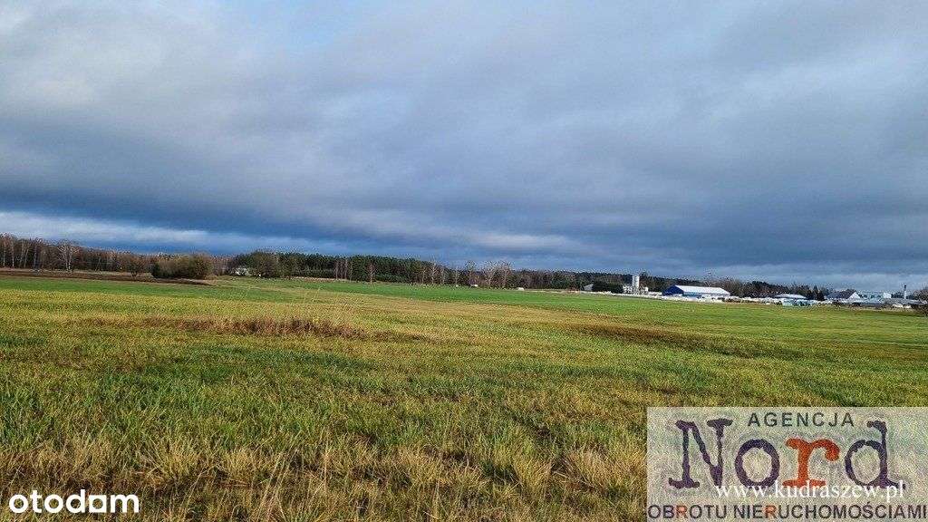 Działka, 12Ha, Augustów, Tranport, Usługi, - Pełny obrazek: 4/17