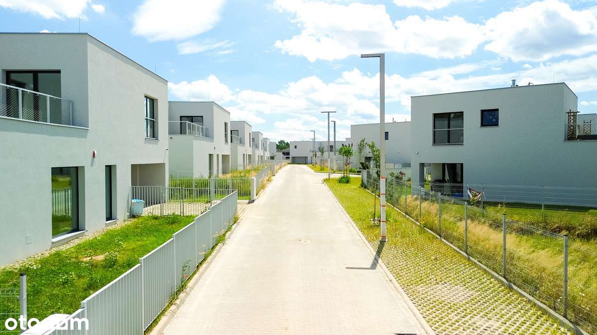 Nowe Planty - Pełny obrazek: 5/11