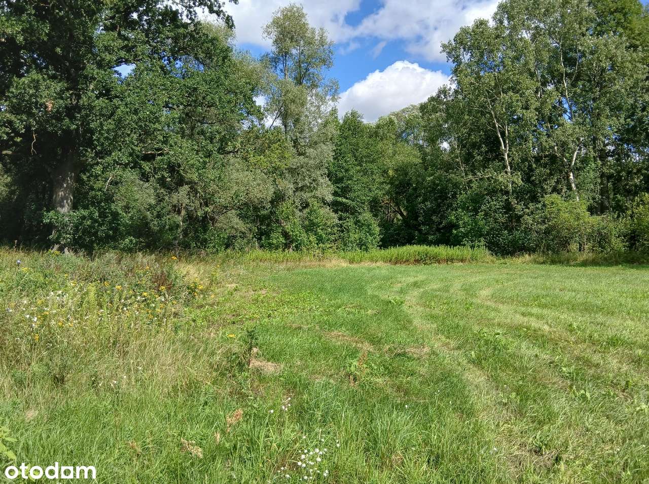 Budowlana 1000m otulona zielenią-2