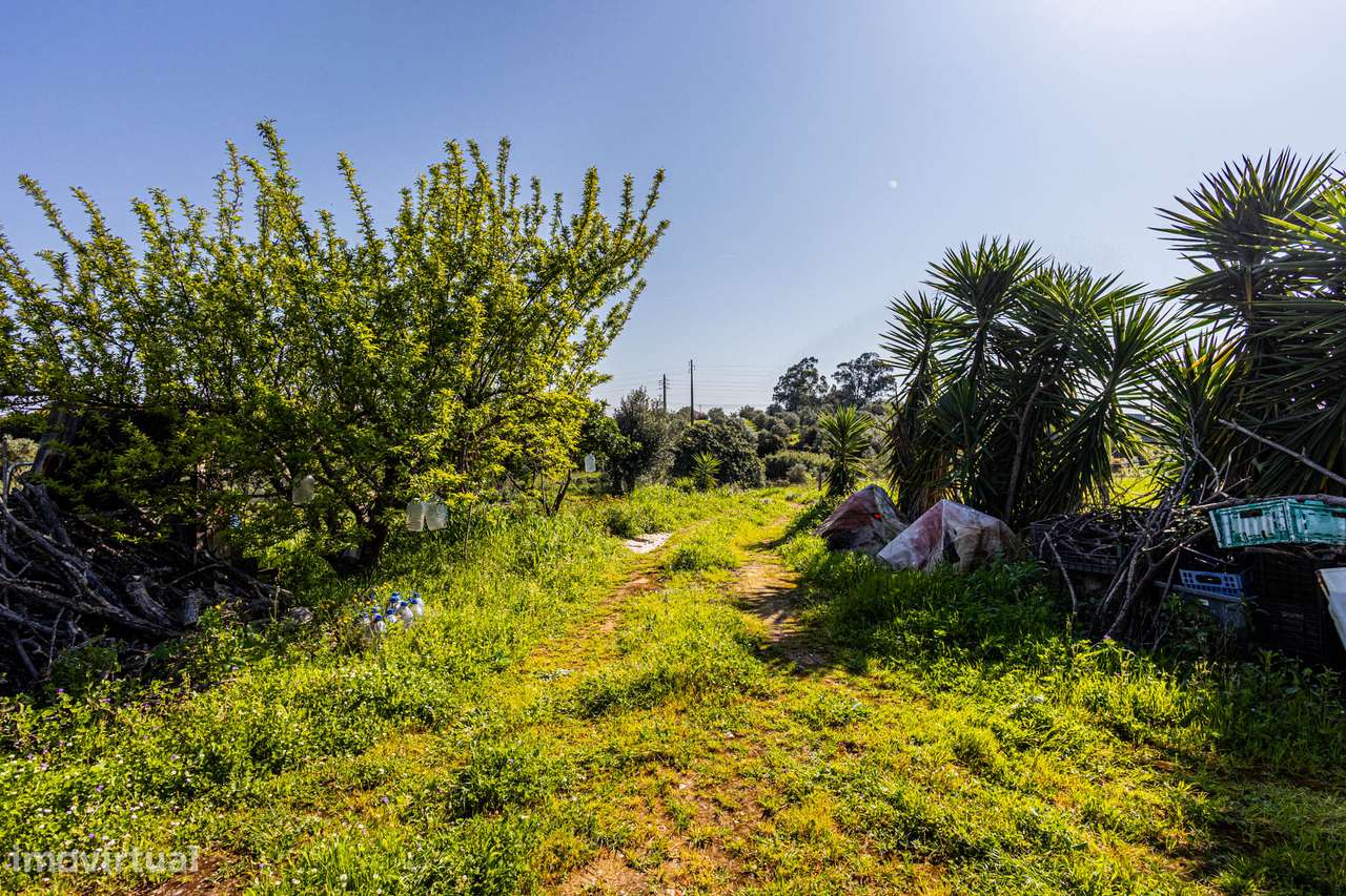 Apresento terreno agrícola com apoio habitacional T2 no Cartaxo-21