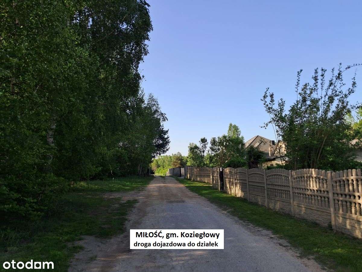 Miłość działka dla ukochanej :-) 3001m2 cena tylko 29.900zł-13