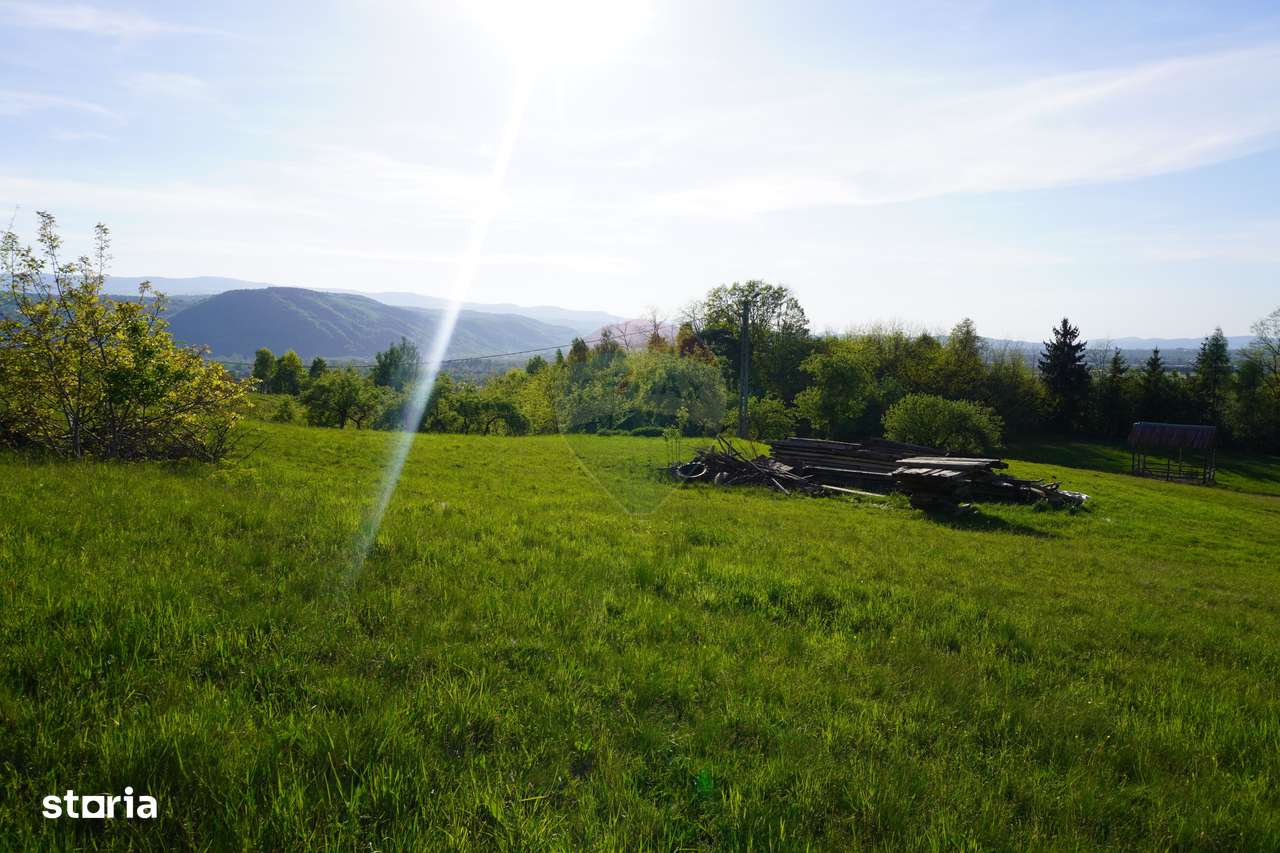 Teren 38,592mp Sighetu Marmatiei / Strada Mocăniței - Imagine principală: 5/20