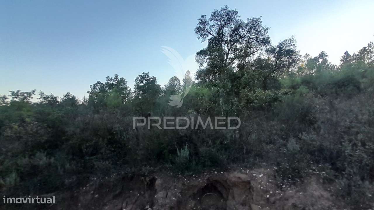 Terreno em Sarzedas - Grande imagem: 5/7