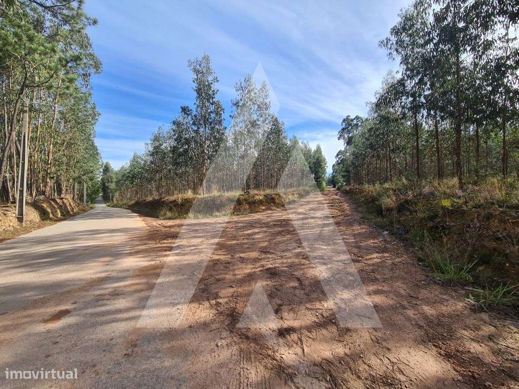 Terreno em Pinheiro da Bemposta - Grande imagem: 2/8