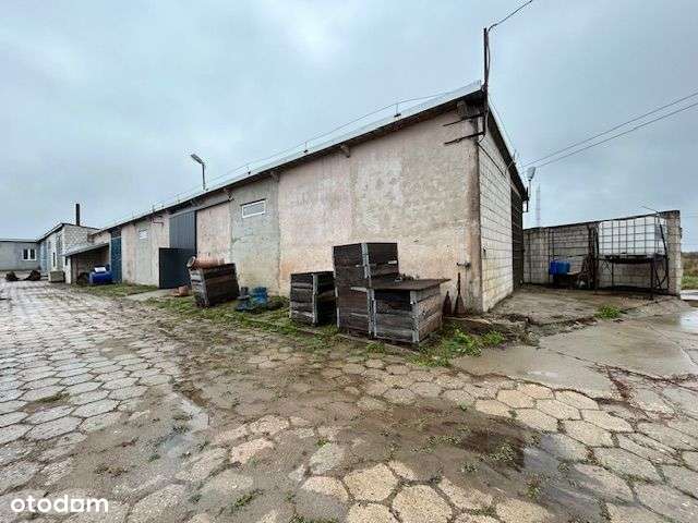 Kompleks nieruchomości w Raczkach, OD SYNYDKA. - Pełny obrazek: 4/8