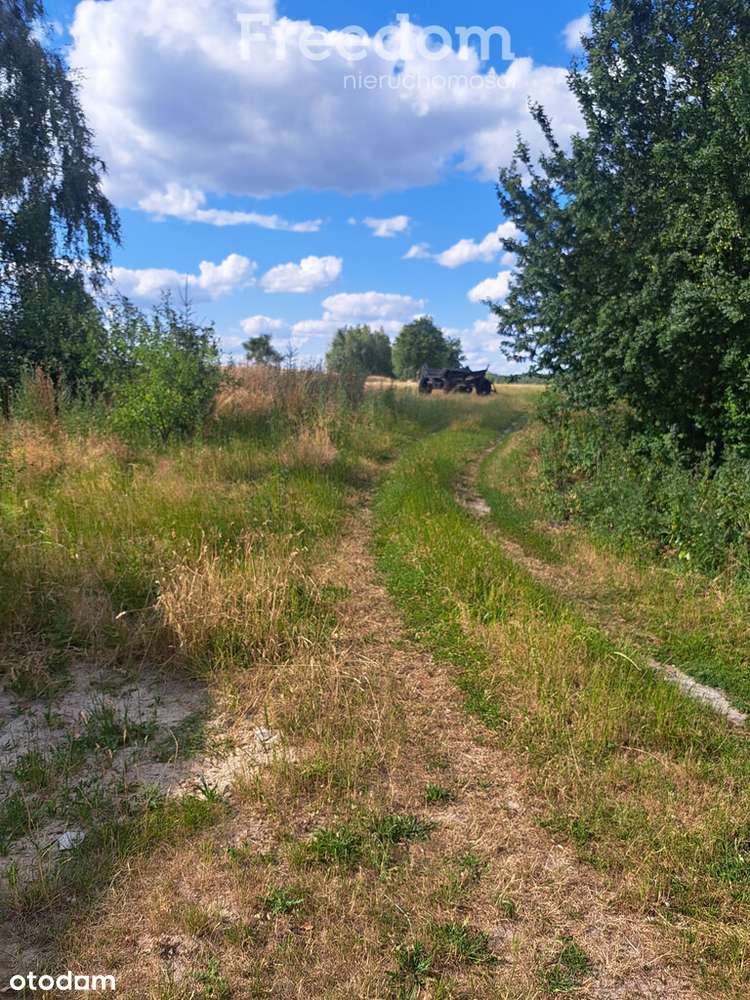 Działka siedliskowa w malowniczej okolicy. - Pełny obrazek: 2/9