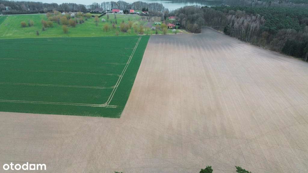 Twoja enklawa wśród lasu i jezior - Pełny obrazek: 4/14