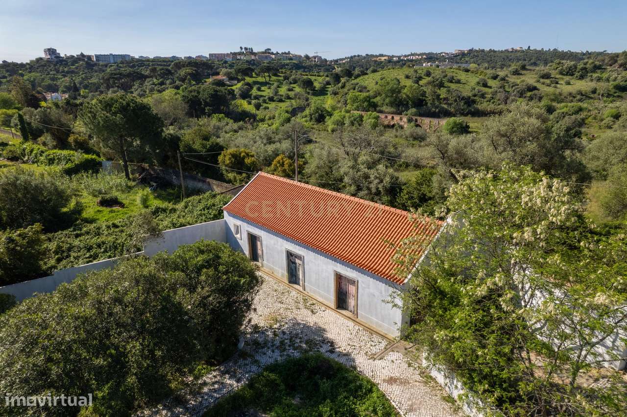 Emblemática Qta de Arronches Junqueiro c/ Piscina e 6025m2-19