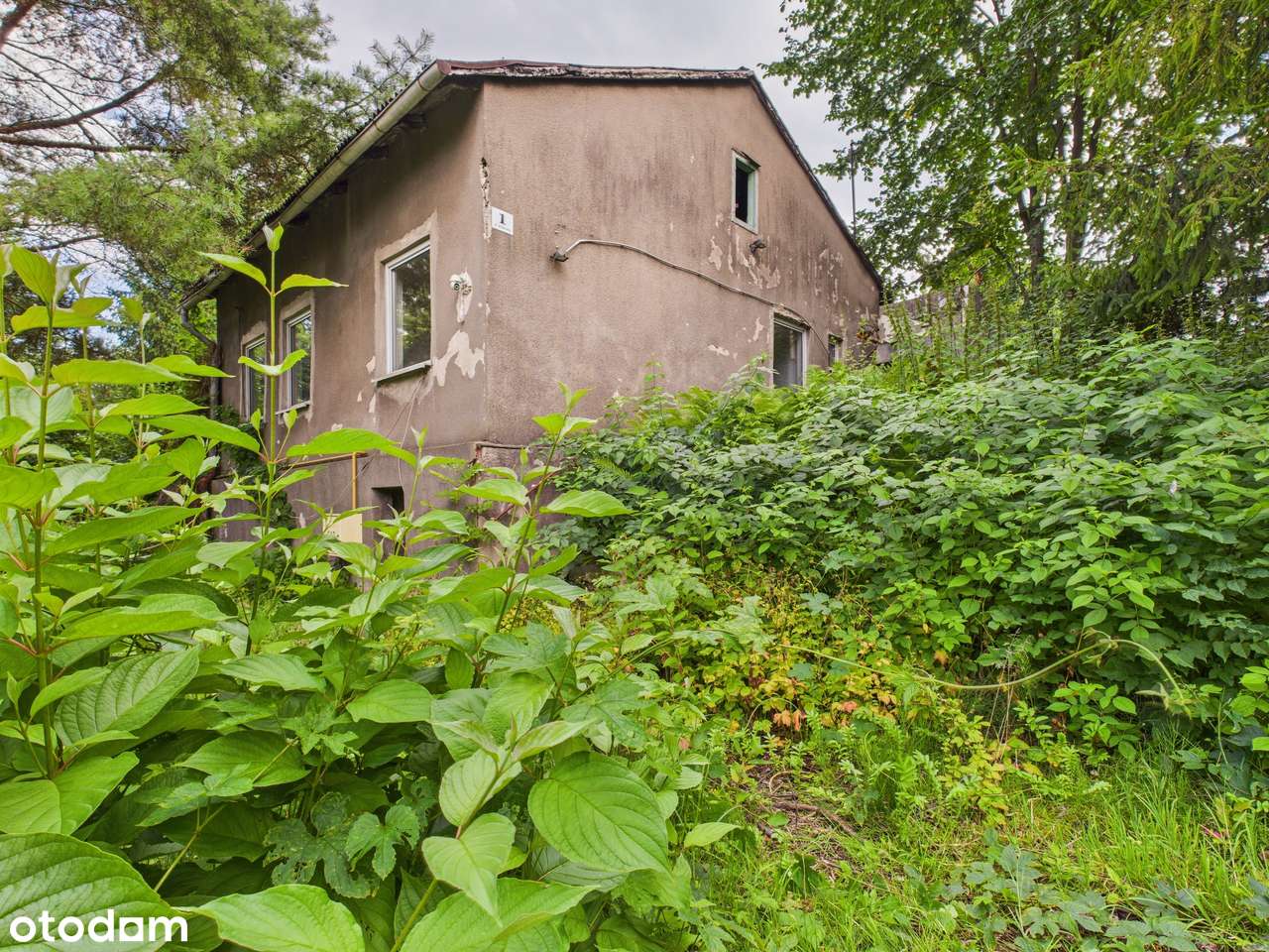 Zielona Działka z Własnym Źródłem i Stawem w Świetnej Lokalizacji!-11