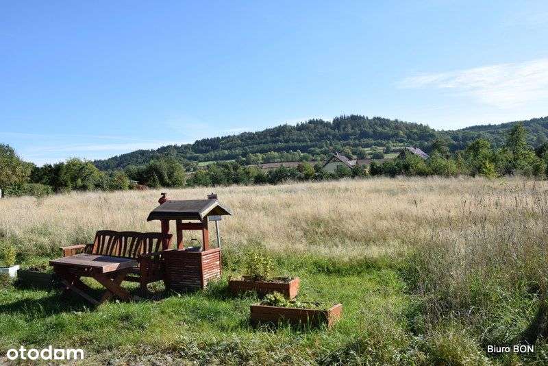 Działka 4967 m2 z możliwością budowy 4 domów - Pełny obrazek: 4/8