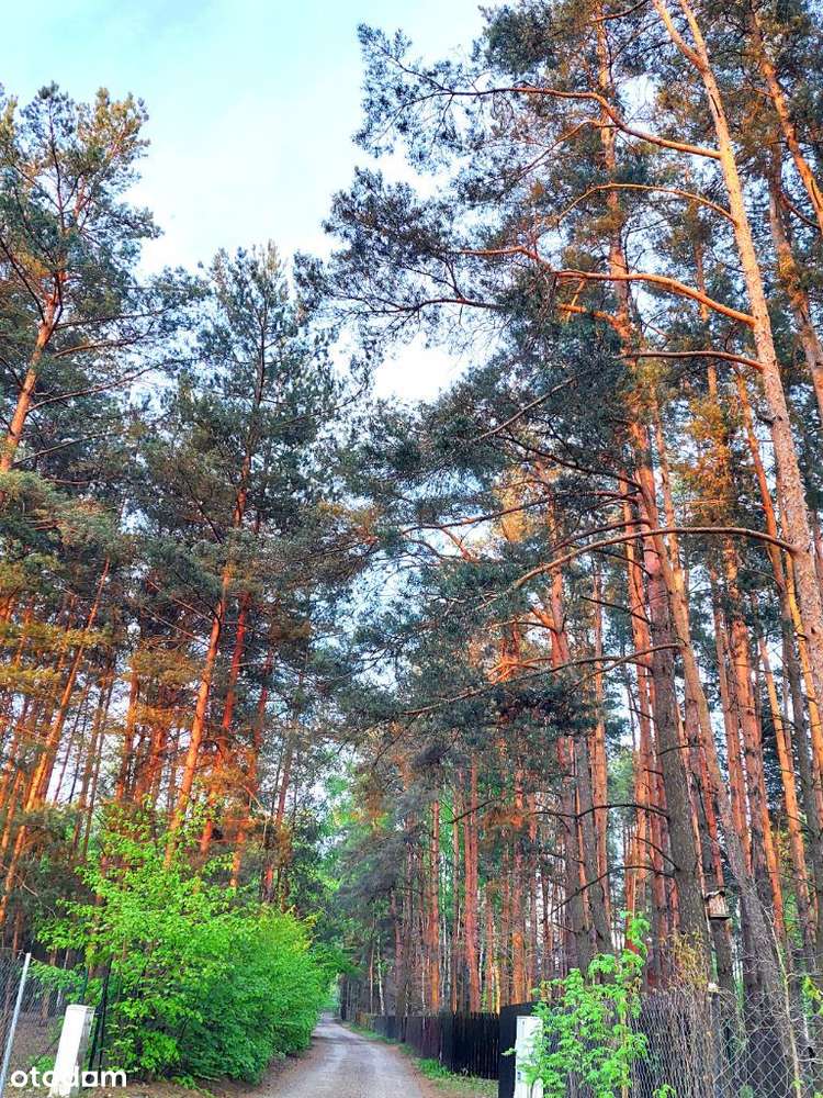 Atrakcyjna działka budowlana w malowniczej okolicy