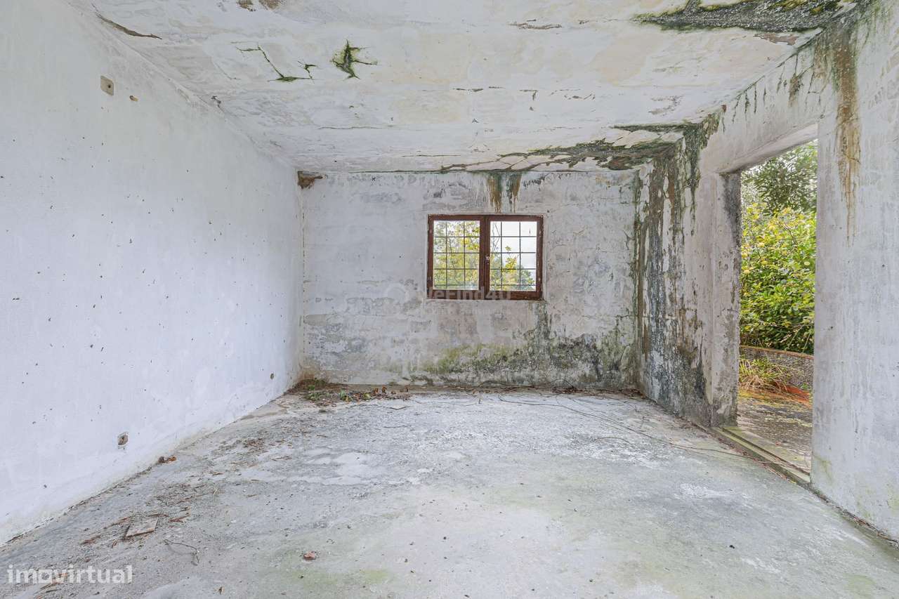 Quinta do Sol - Pegões-13