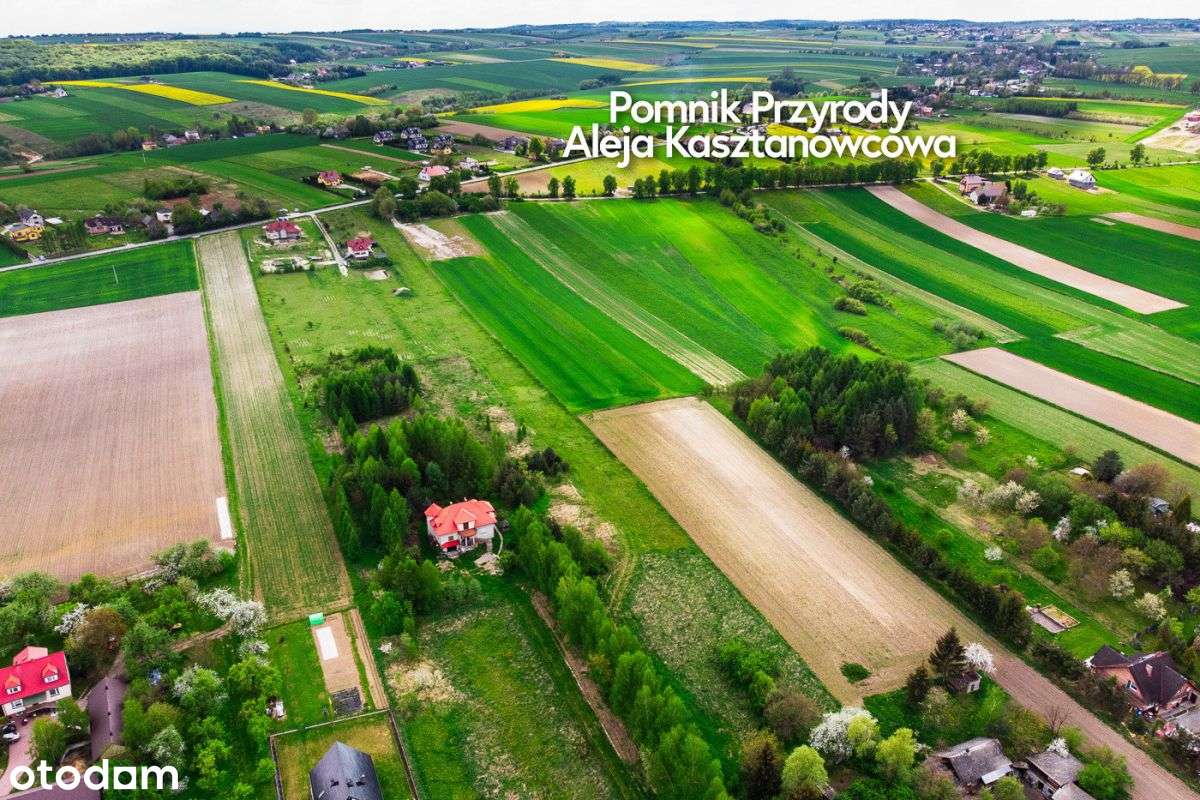 Widokowa działka z PnB na "Dom w Alpinach"-16