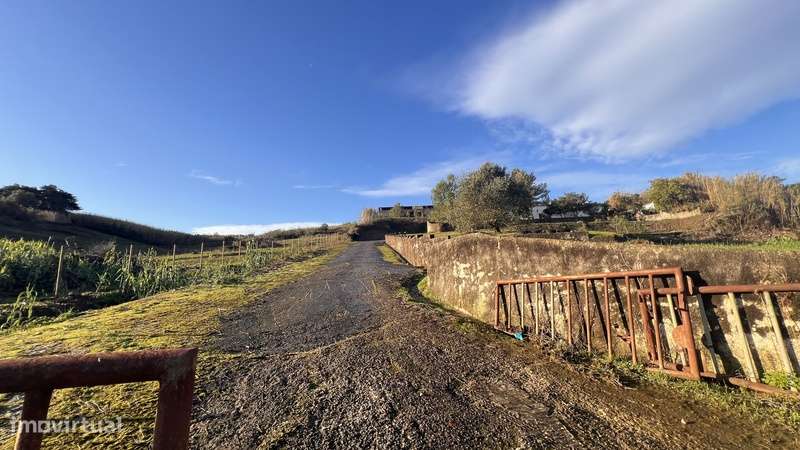 Armazém Com Terreno Rústico 26.200m² - Grande imagem: 3/57