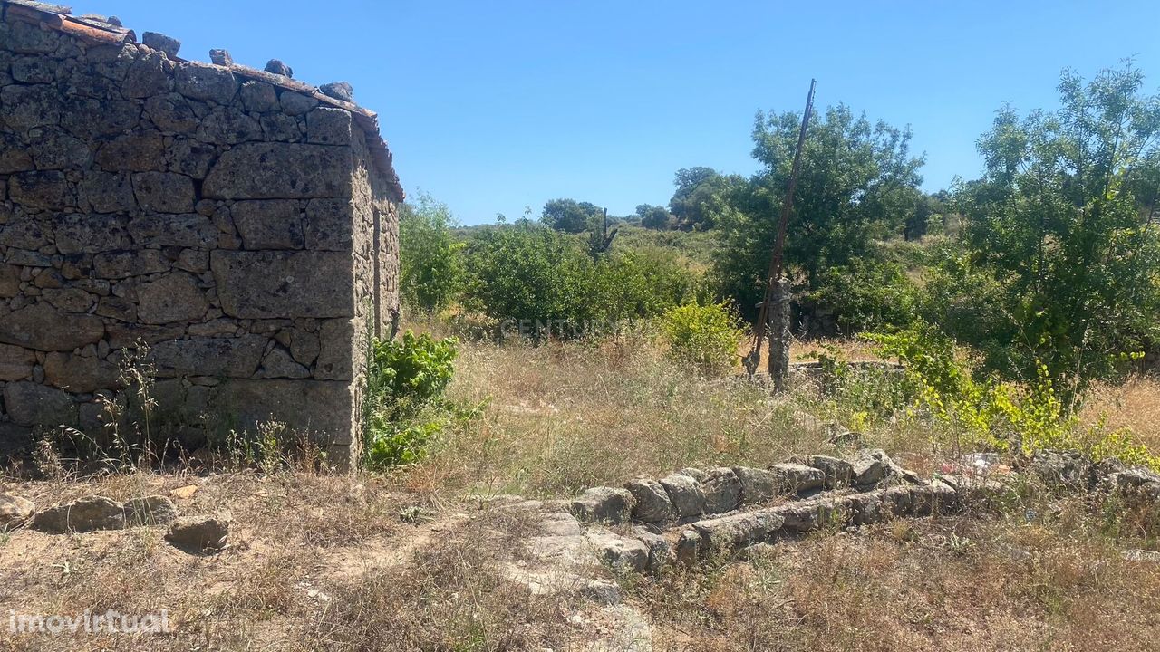 Terreno rústico com casa de xisto, Escalos de Baixo| Castelo Branco