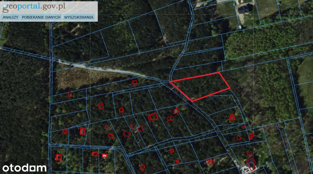 Magdalenów, działka pod budowę domu z MPZP położna w pięknym lesie. - Pełny obrazek: 5/5