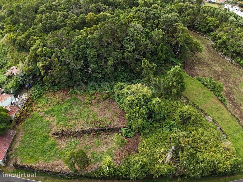Terreno Junto à Estrada Regional com Duplo Potencial Construtivo - Grande imagem: 5/11