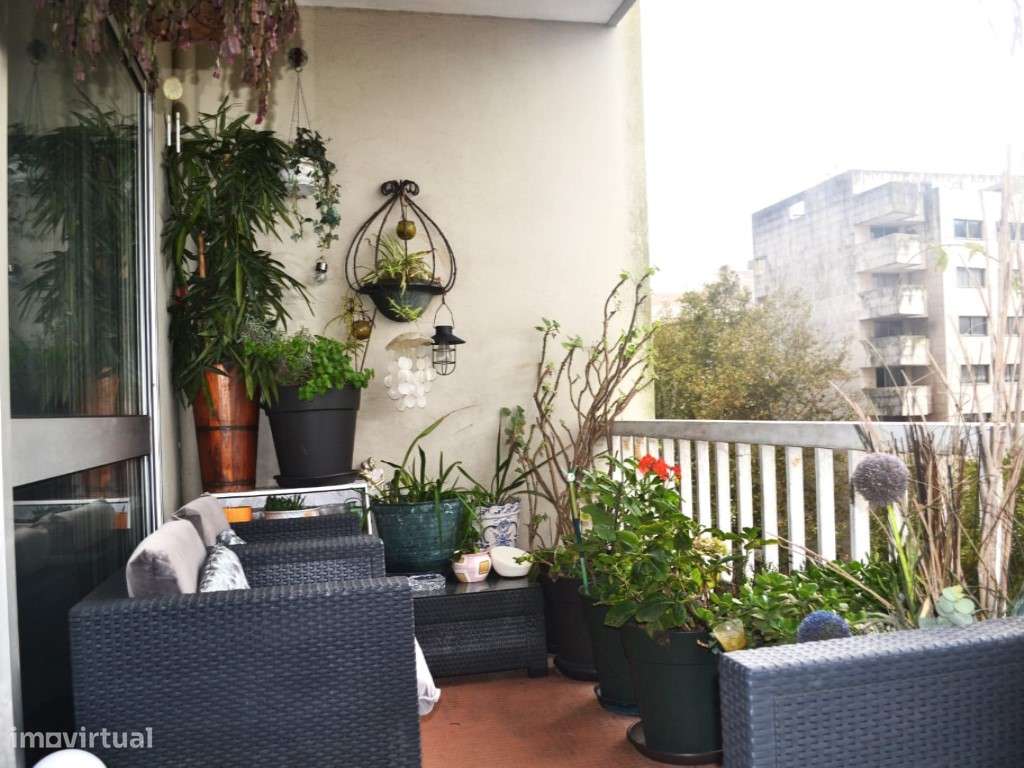 T5+1 - Aviz - Grande imagem: 3/23