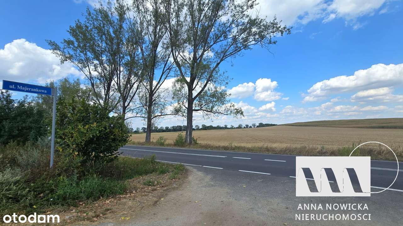 Dwie działki rolne na sprzedaż | Biedrzychów | 2,37 ha i 0,76 ha-2