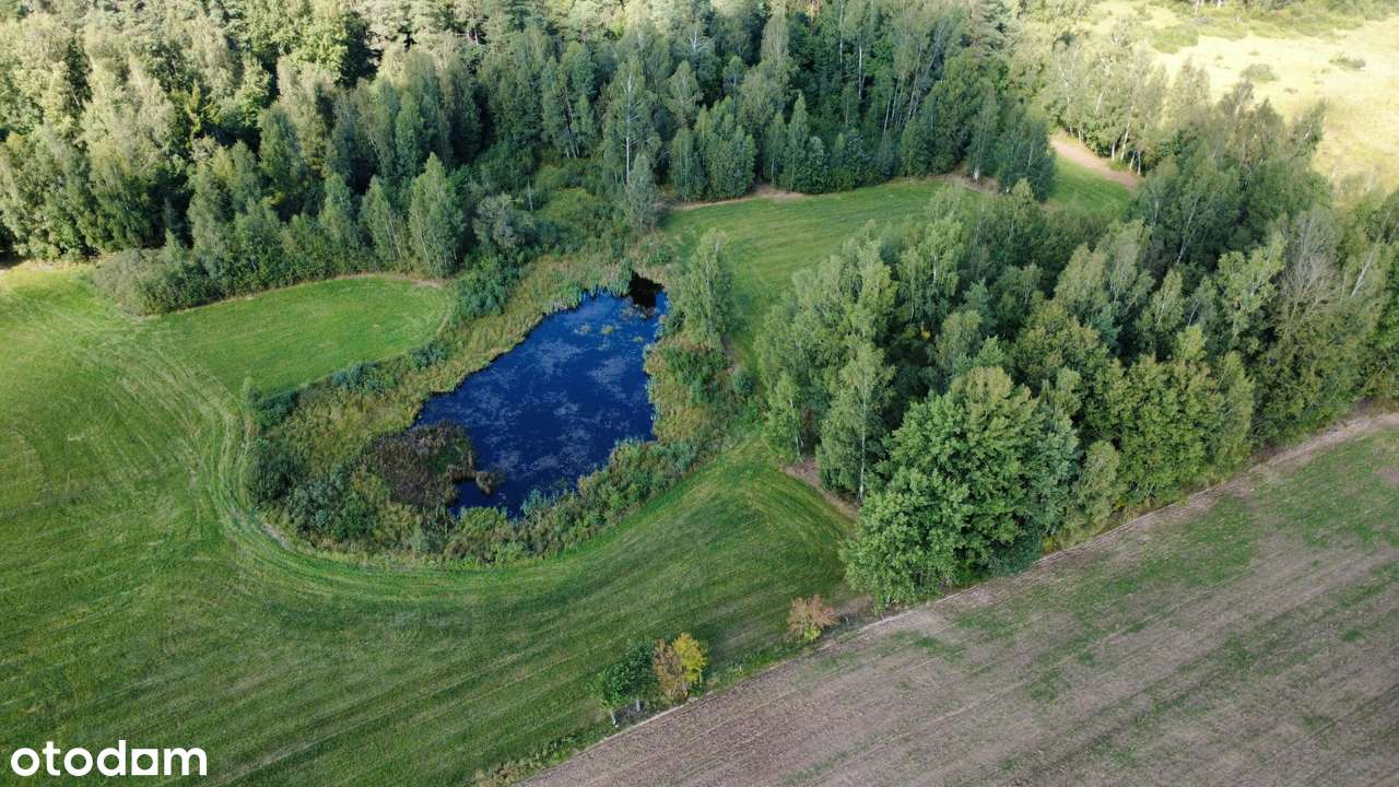 Przerośl - działka pod lasem - staw - 4 zł/m2-2