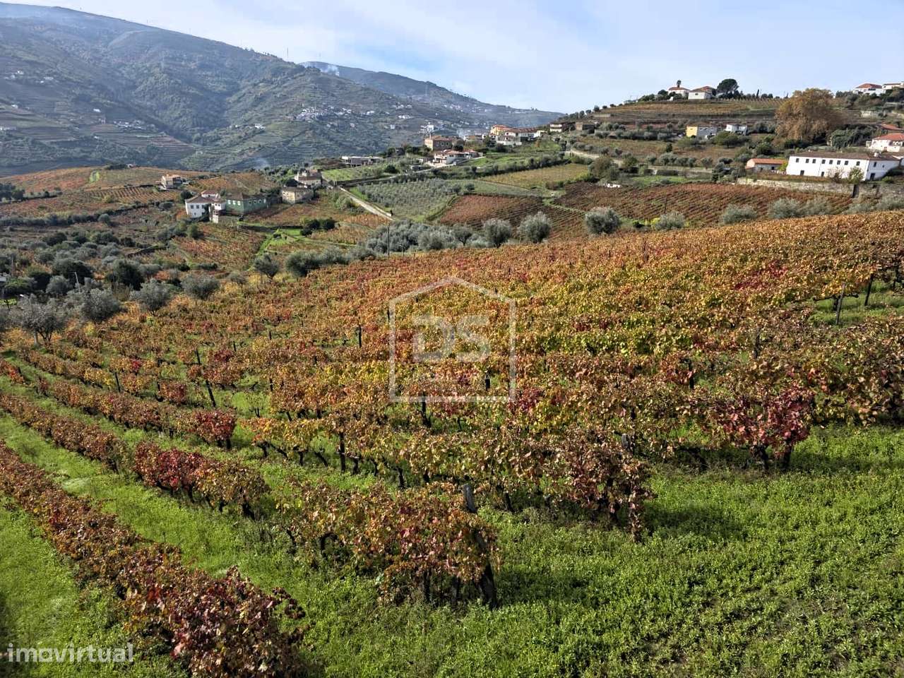 Quinta T4 Venda em Fontelas,Peso da Régua-33