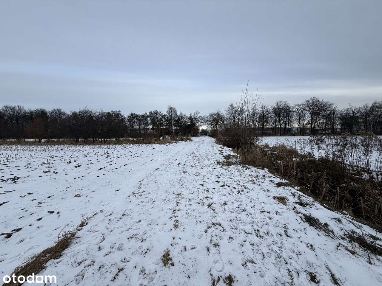 Na sprzedaż działka inwestycyjna – Rawicz - Folwark-5