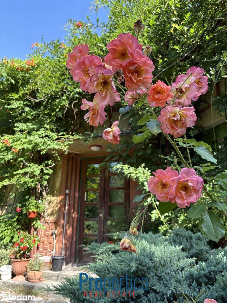 Piękny Ogród - działka w Konstancinie plus dom-14