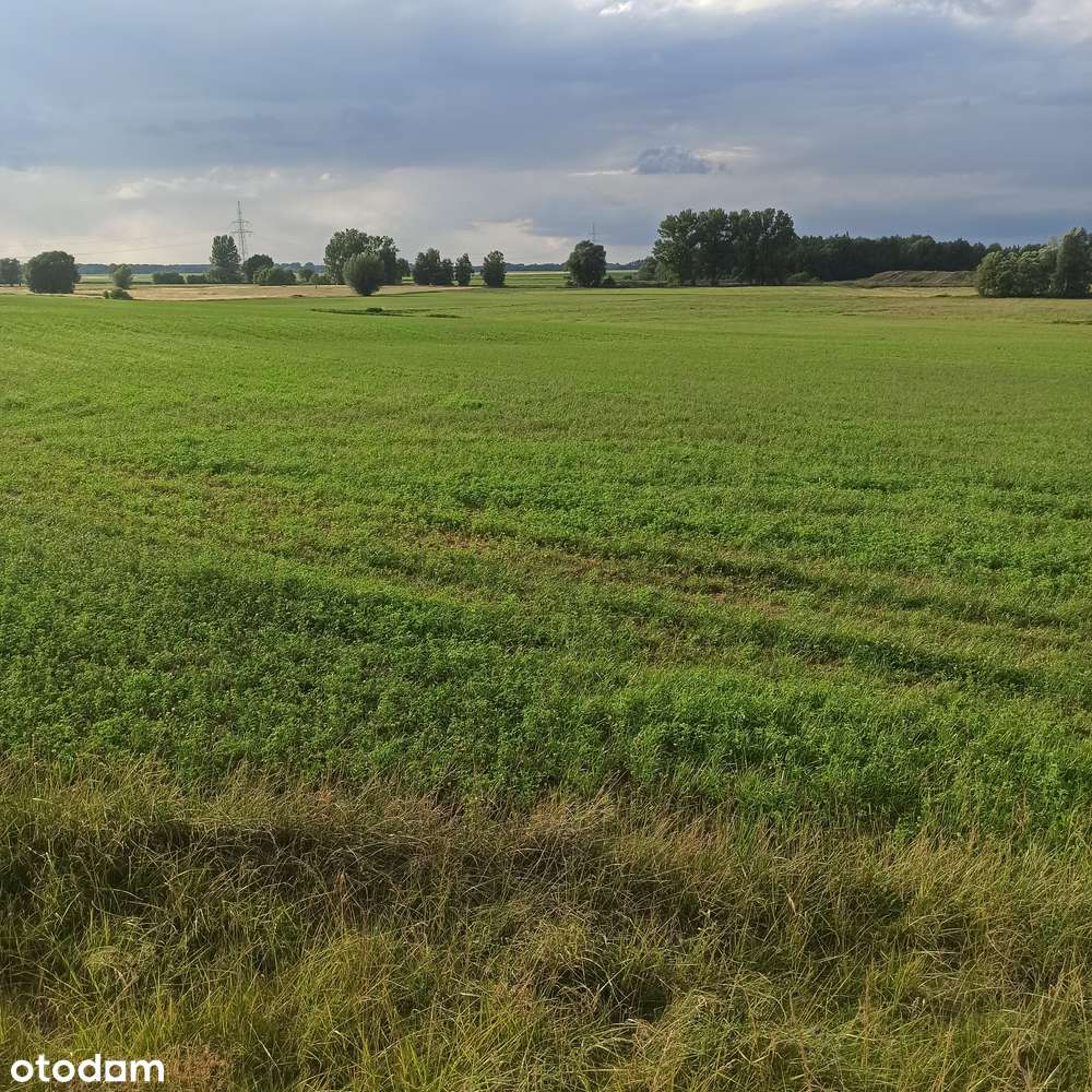 Działki inwestycyjne Kościan 3439 m2-4