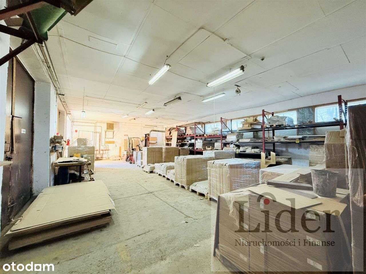 Hala produkcyjna z zapleczem biurowym i magazynowy - Pełny obrazek: 5/20