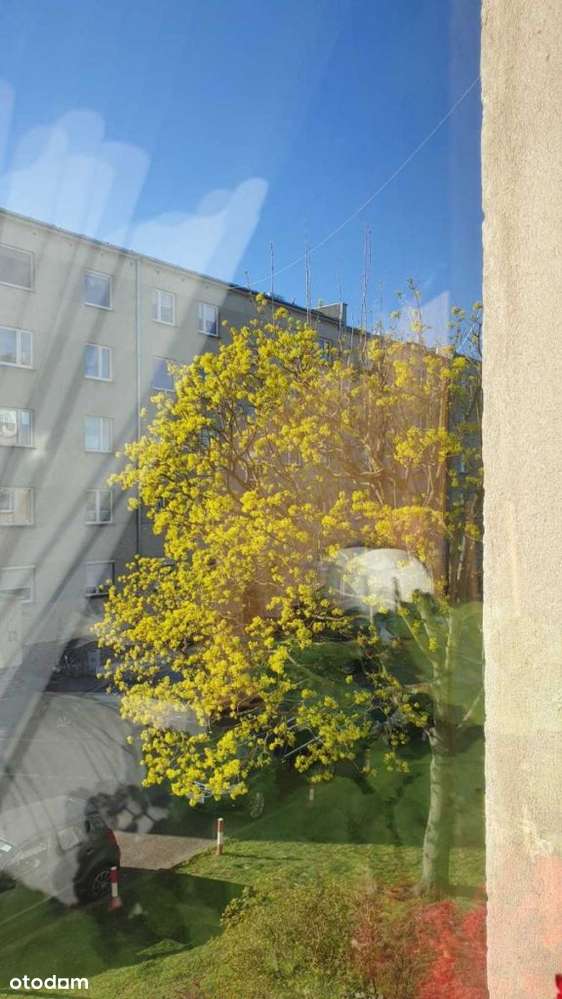 Mieszkanie na Osadniczej-10