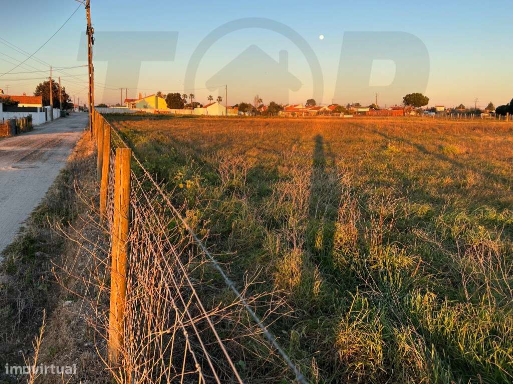 Terreno Urbanizável C/ 20.000m2 - Foros de Salvaterra - 320.000€ - Grande imagem: 5/5