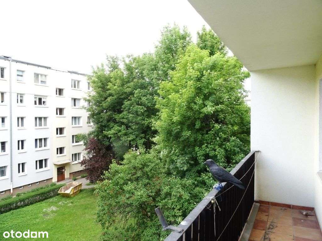 Mieszkanie na sprzedaż Rataje-0