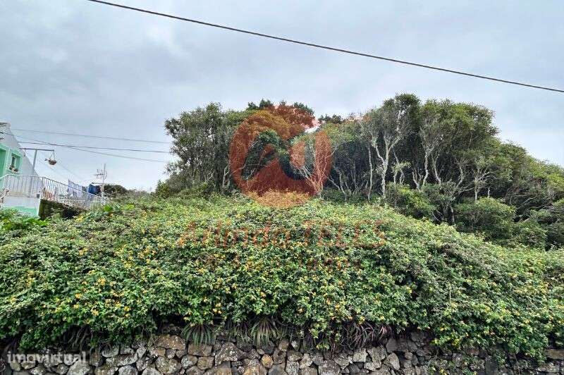 Venda Terreno - Grande imagem: 5/12