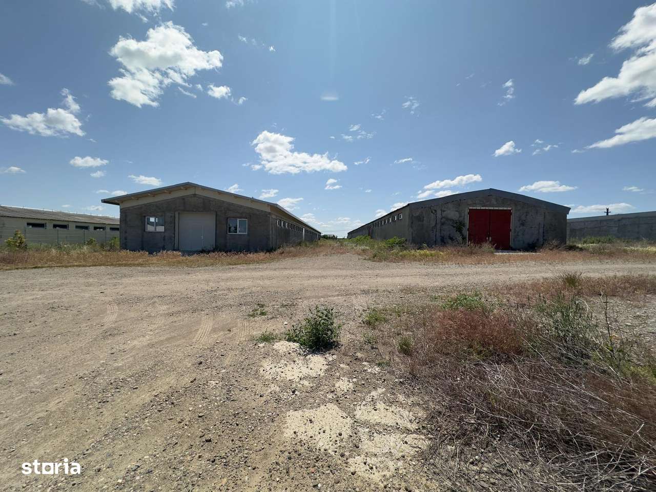 Hala 800mp, Horlesti-1