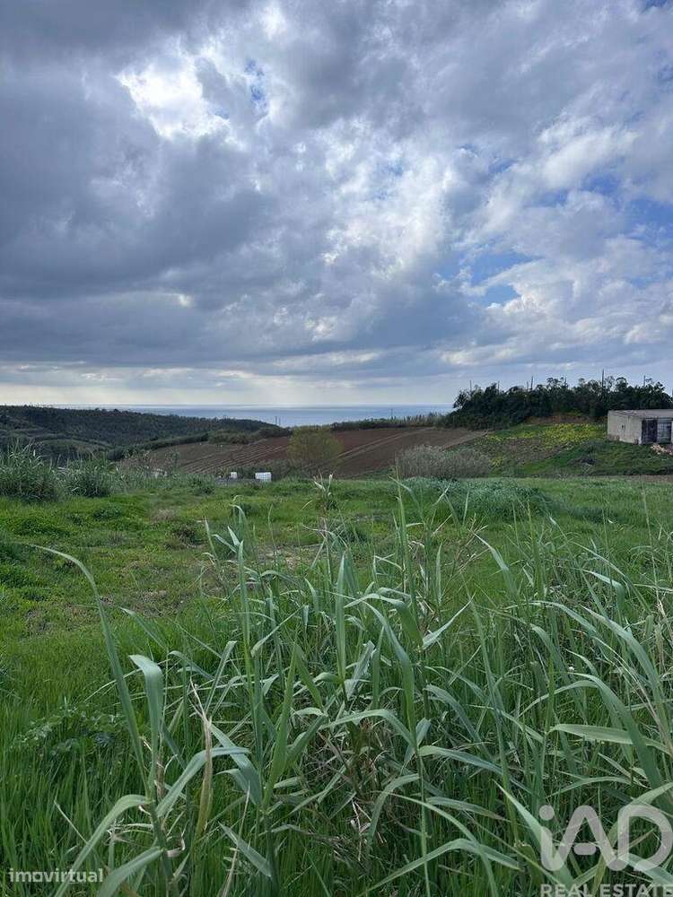 Terreno em Lourinhã e Atalaia de 3960,00 m2 - Grande imagem: 4/29