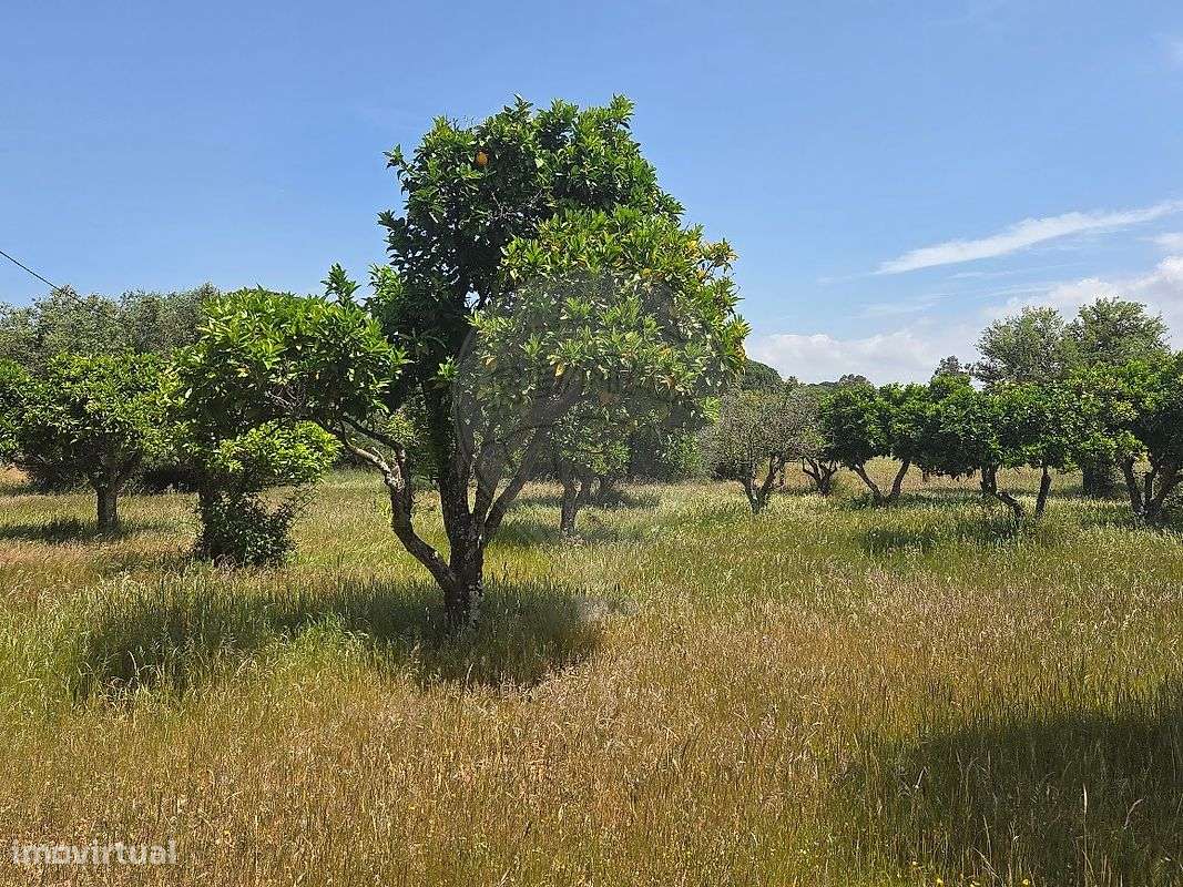 Quinta  para venda-10