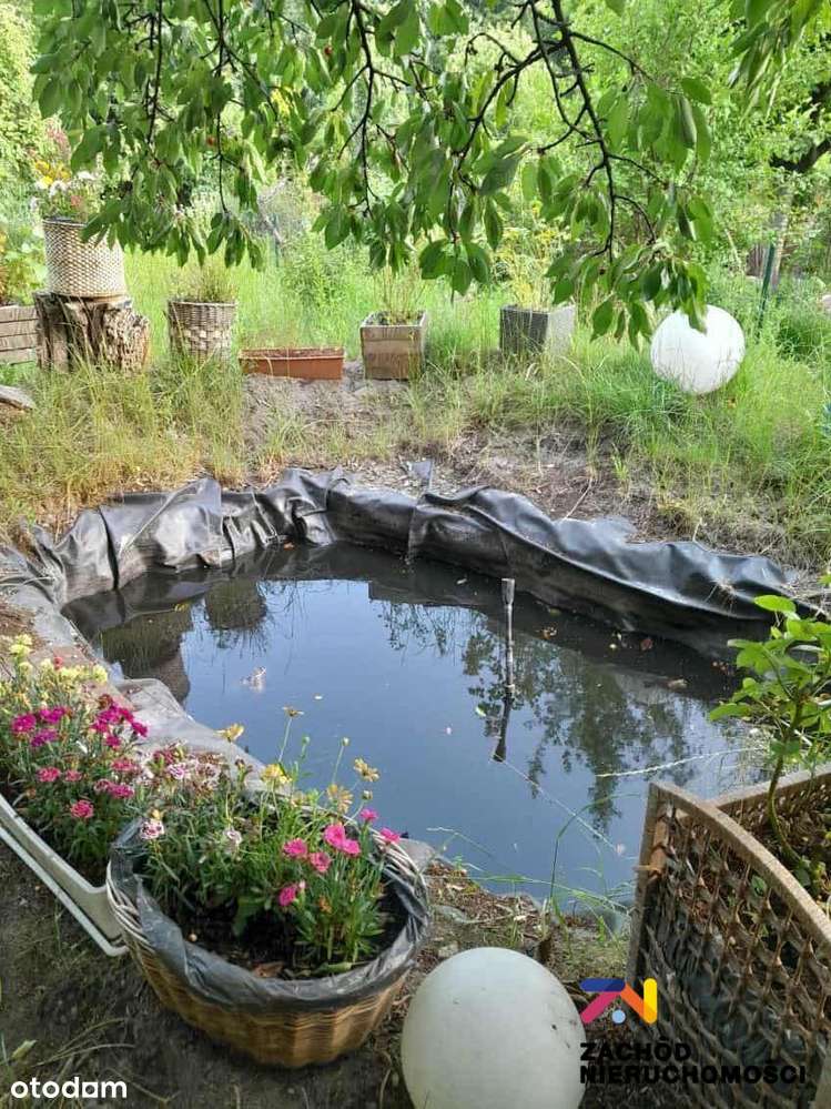 Działka ogrodowa 520 m2 okolica Os. Morelowe - Pełny obrazek: 2/16