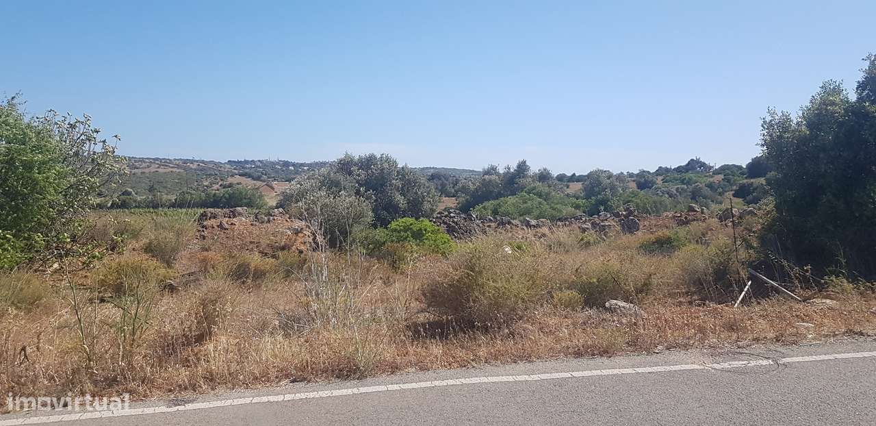 Excelente terreno rústico em Matos Brancos - Grande imagem: 5/13
