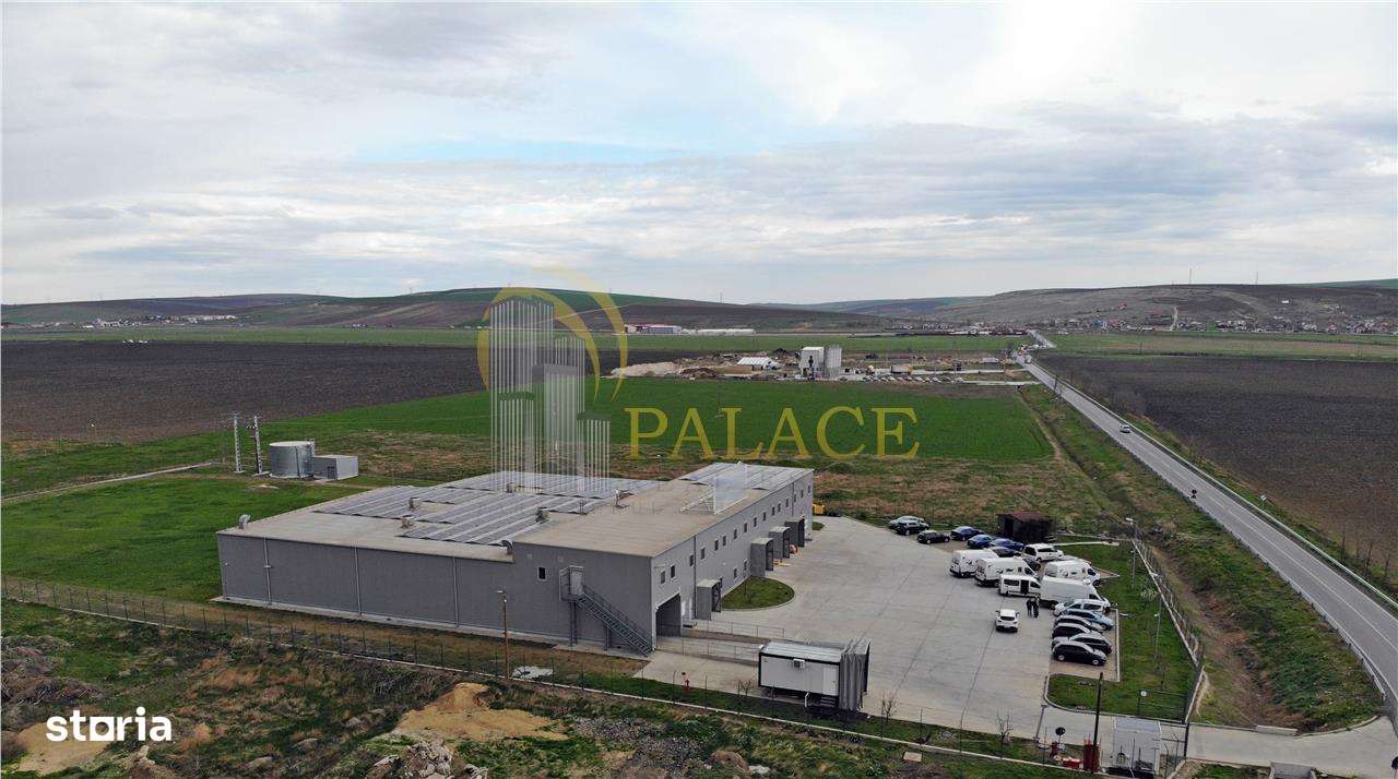 Hala Industriala Premium Letcani Complet Echipata - Imagine principală: 3/17