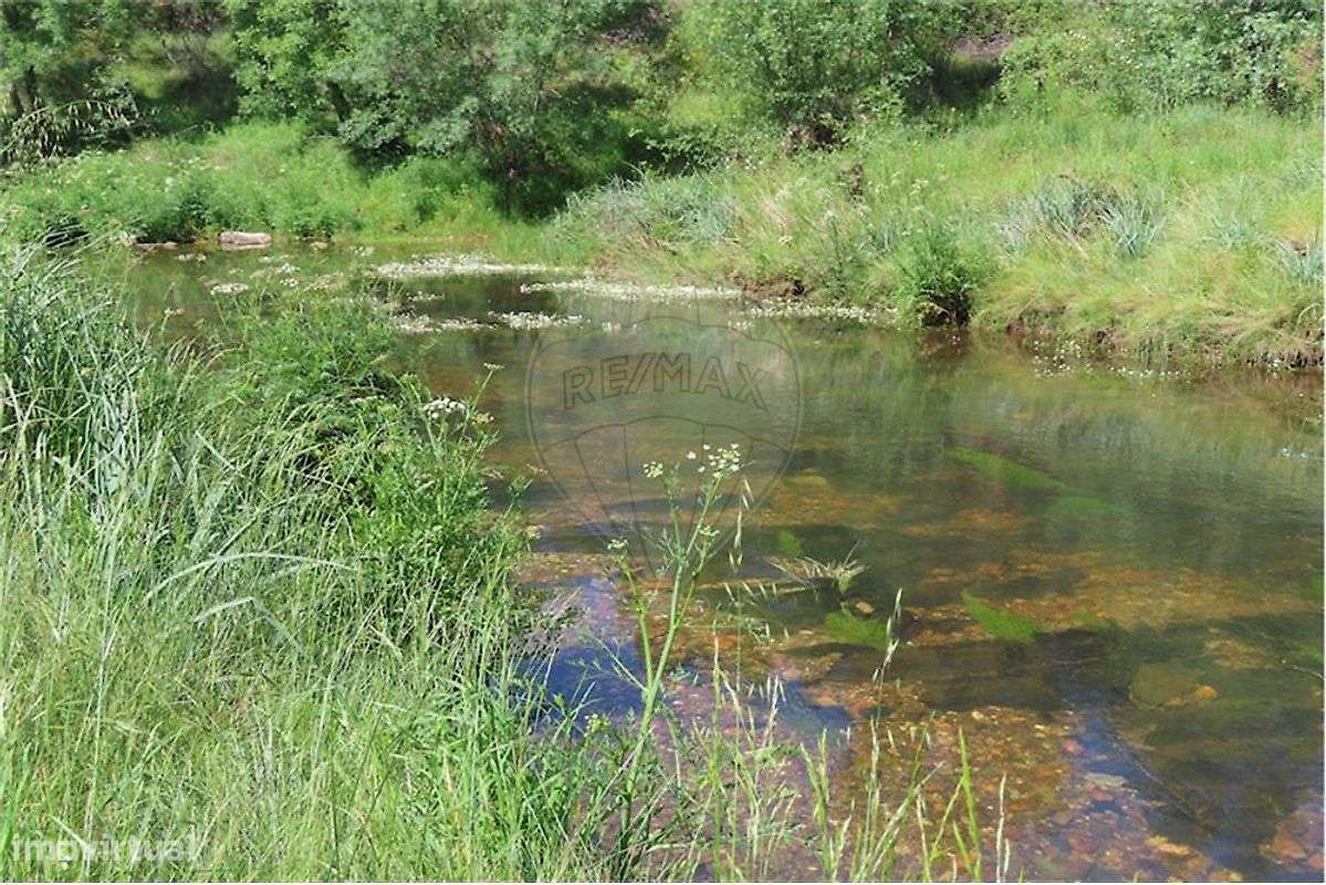 Quinta T0 para venda - Grande imagem: 3/49