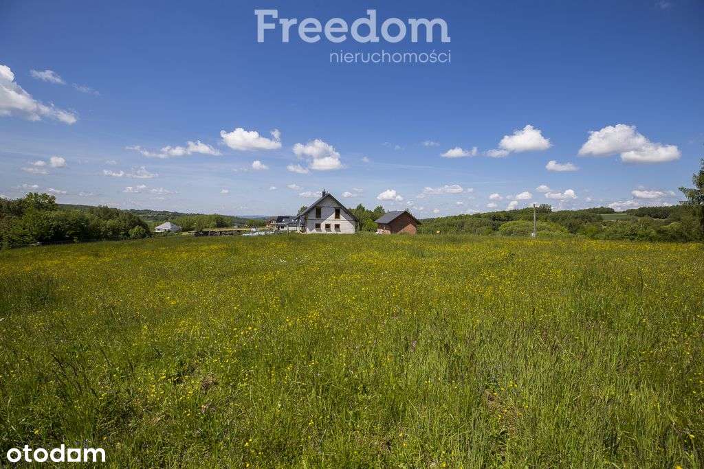 Działka z Wz, media, las 4 km od Rzeszowa-9