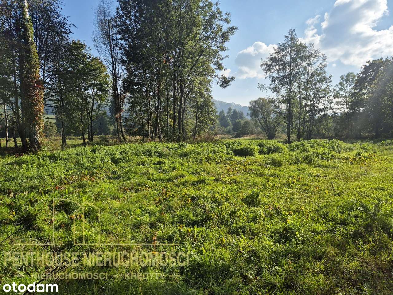 koncepcja 72 apartamentów-sprzedaż lub współpraca - Pełny obrazek: 4/13