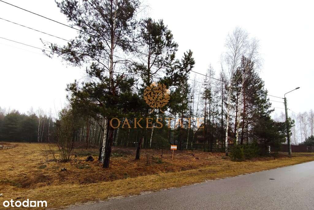 działka 4100 m2 rolno-budowlana - Pełny obrazek: 2/6