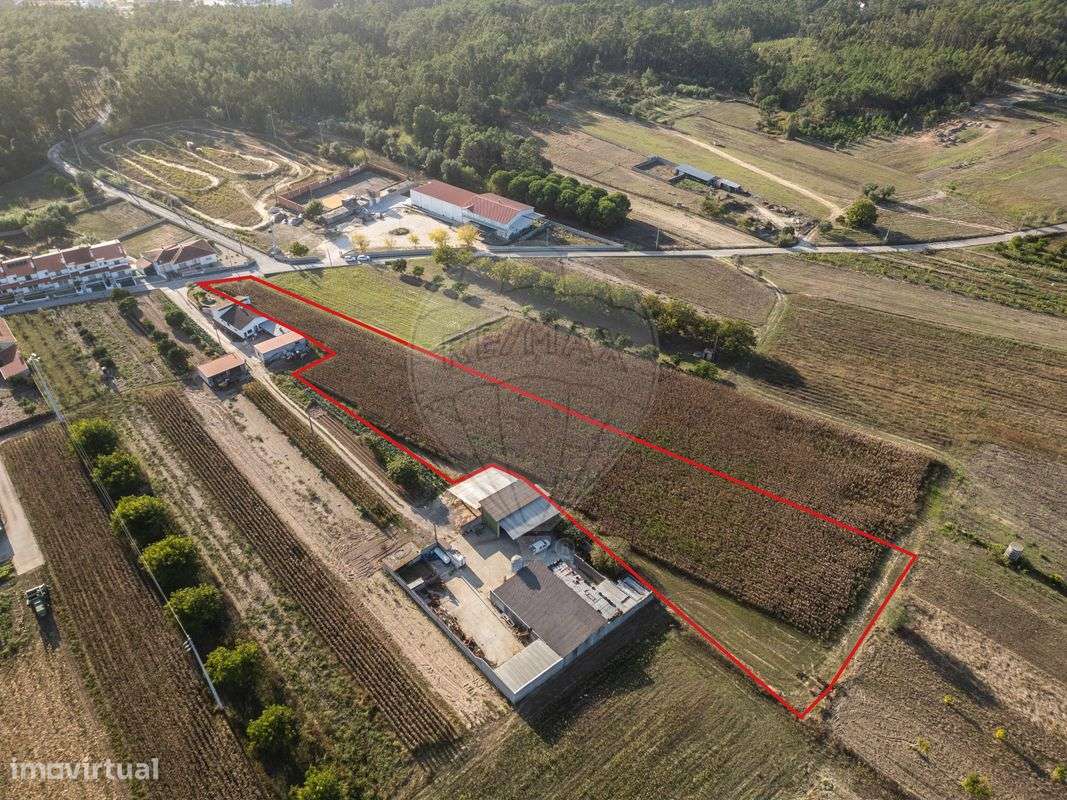 Terreno  para venda - Grande imagem: 5/33