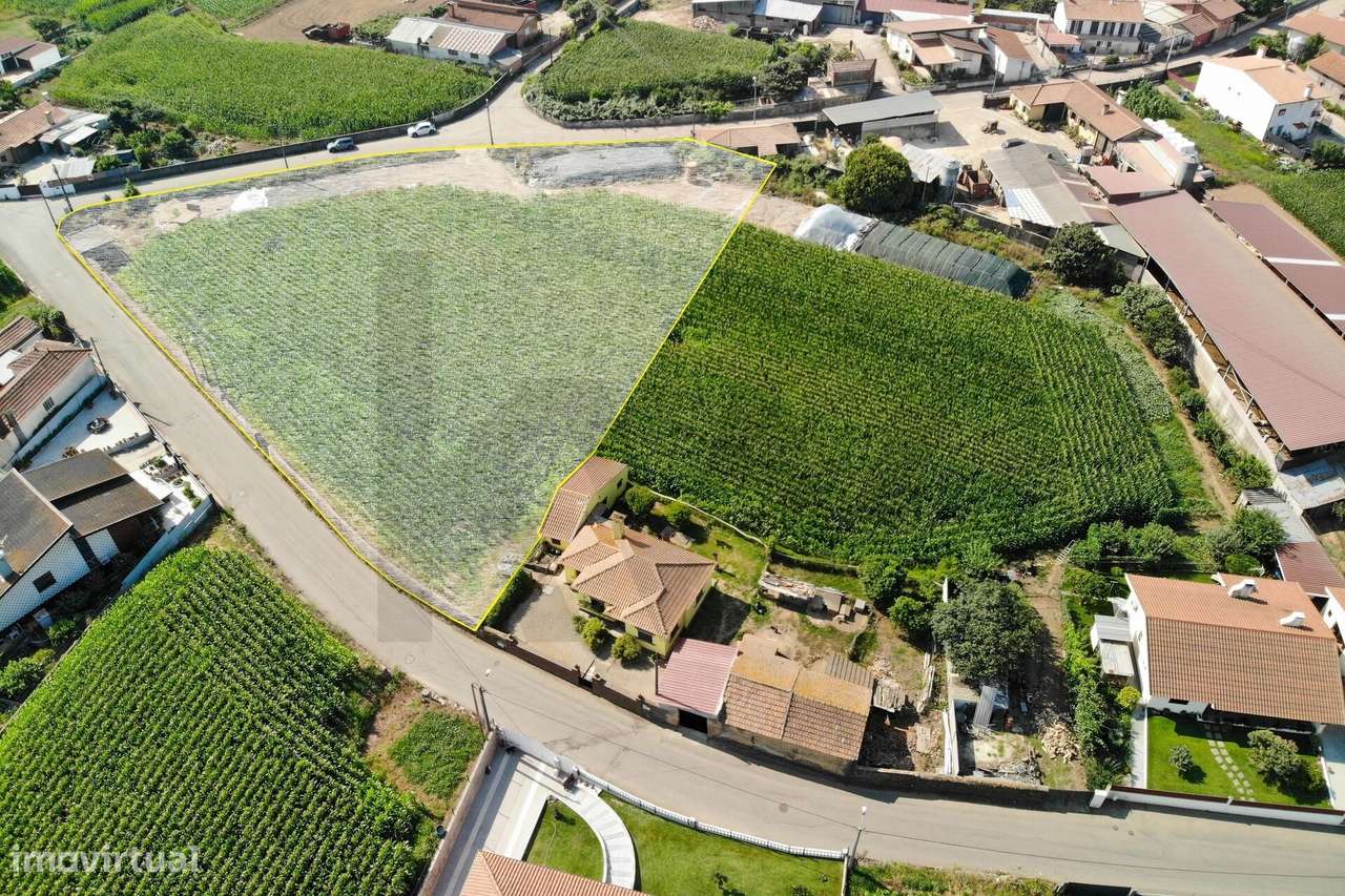 Terreno com Elevado Potencial para Investimento – Avanca, Estarreja-3