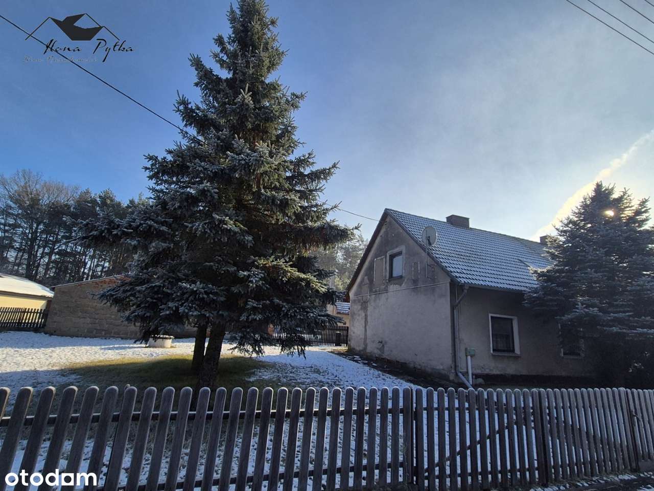 Dom pod lasem z zabudowaniami gospodarczymi 16km od Opola-0